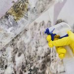 Muffa a casa: come liberarsene