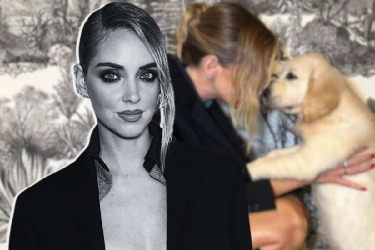 chiara ferragni cane ciabatte