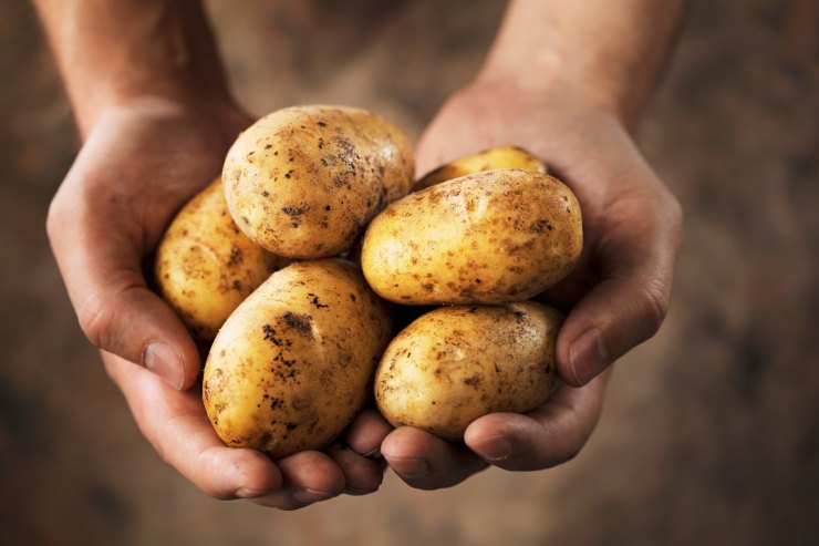 Benedetta Rossi: le ricette con le patate