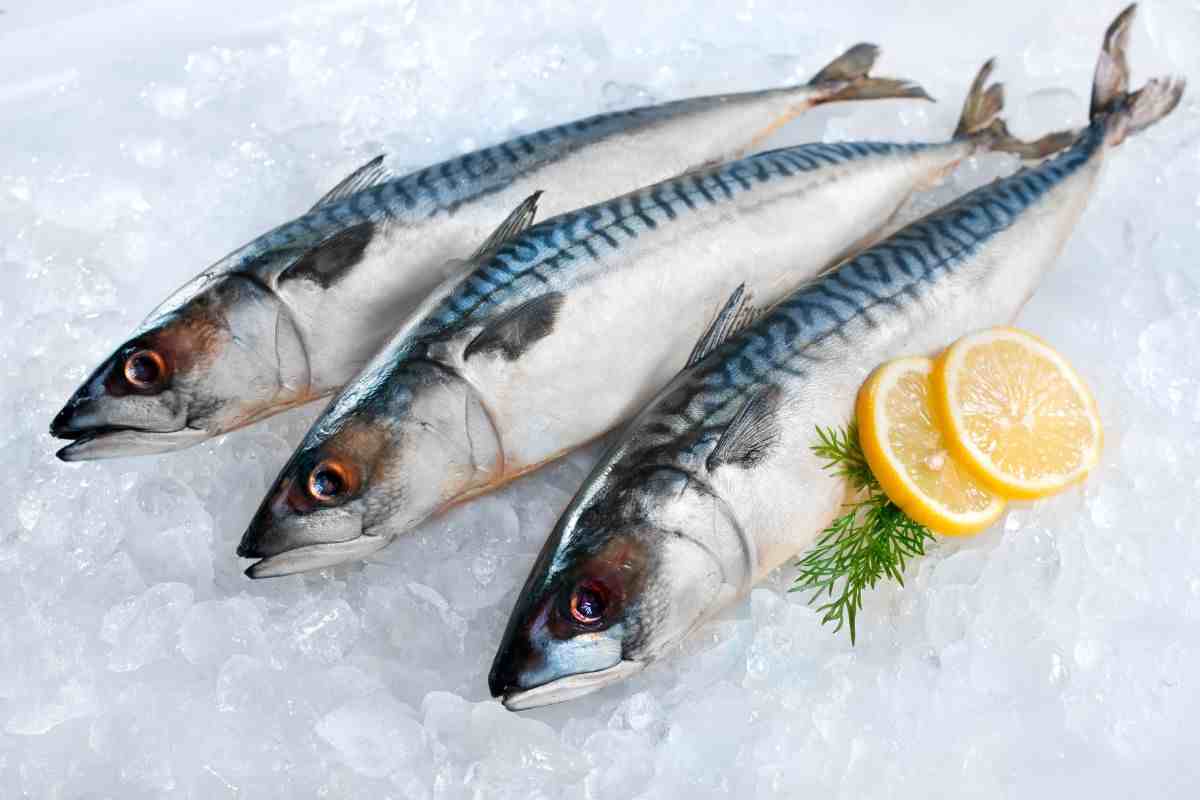 Il pesce è un alimento ricco di acidi grassi polinsaturi Omega-3